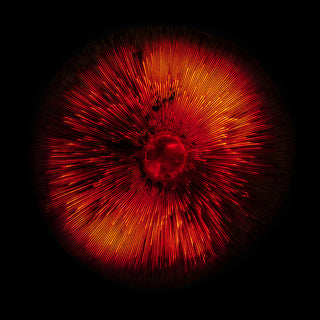 Red spherical glowing mushroom on a black background