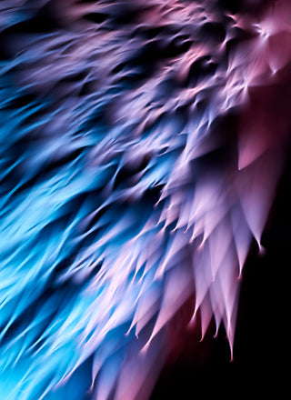 Close-up of a make-up brush with blue and pink colors